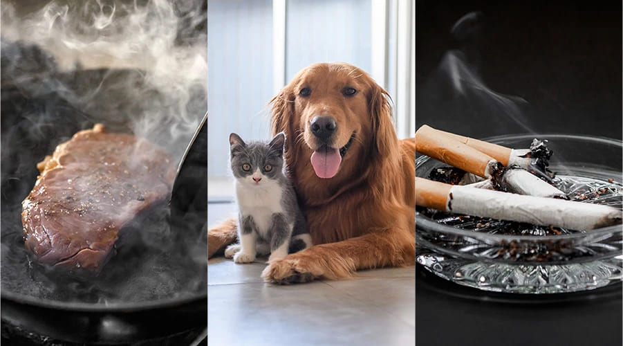 ニオイセンサーの特長